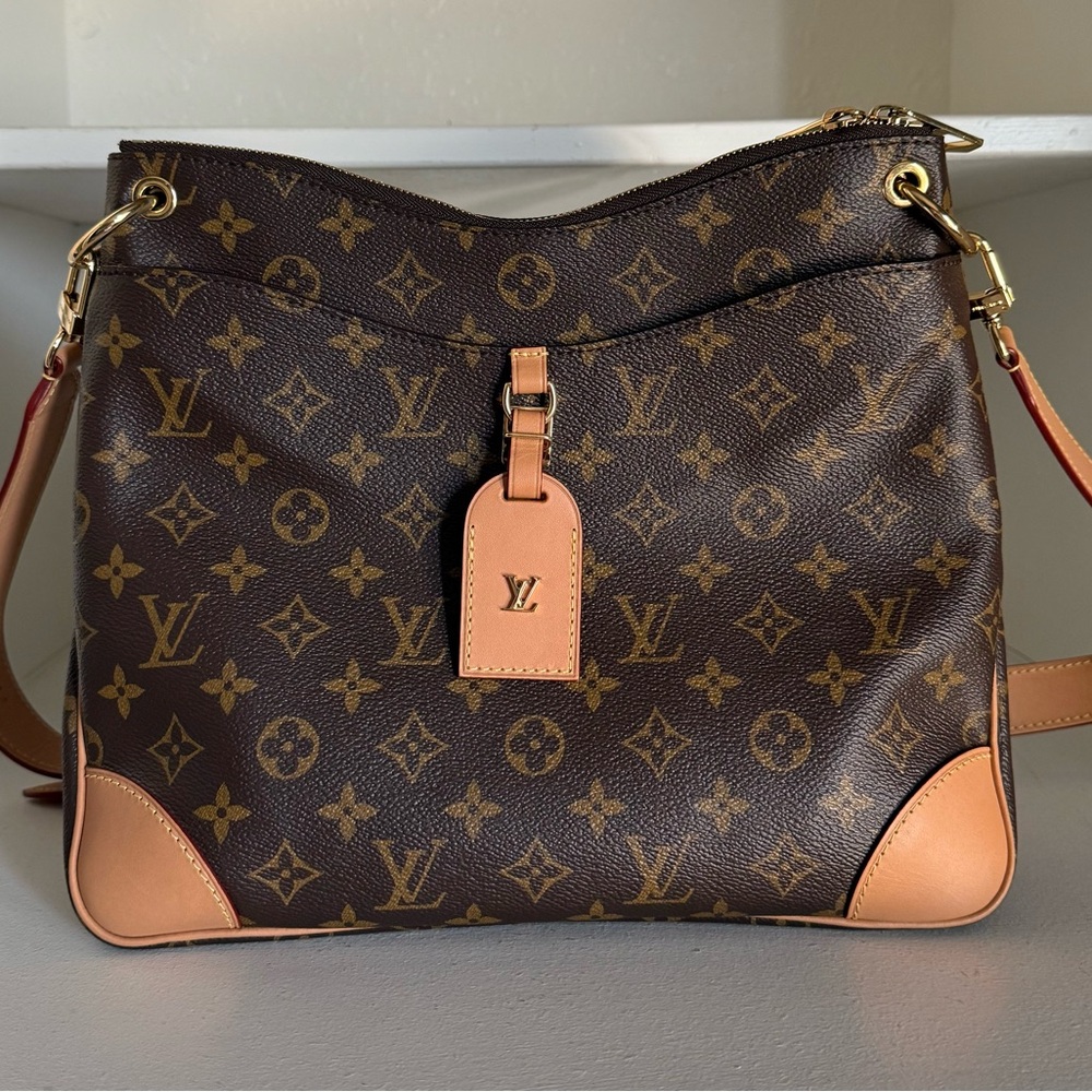 Louis Vuitton Odéon leather handbag